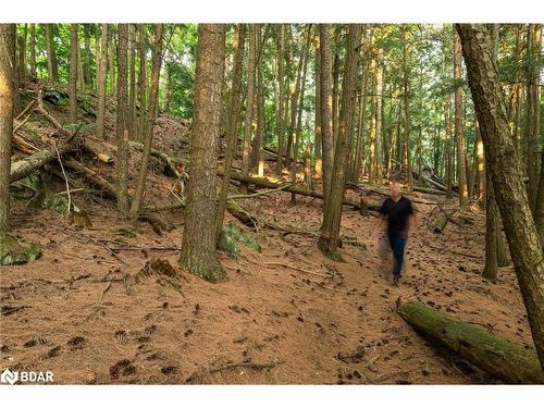 1401 Coopers Falls Road, Washago, ON - Outdoor With View