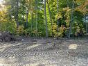 255 Beechwood Forest Lane, Gravenhurst, ON  - Outdoor With View 