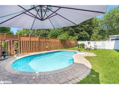 54 Nelson Street W, Alliston, ON - Outdoor With In Ground Pool With Backyard