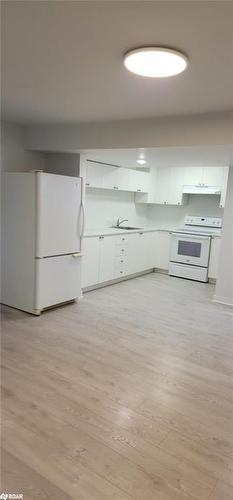 Lower-112 Bird Street, Barrie, ON - Indoor Photo Showing Kitchen