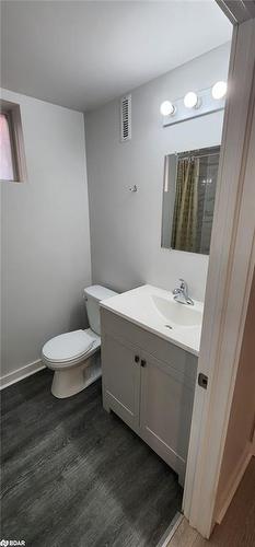 Lower-112 Bird Street, Barrie, ON - Indoor Photo Showing Bathroom