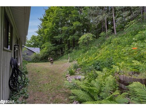 8 Pine Spring Road, Horseshoe Valley, ON - Outdoor