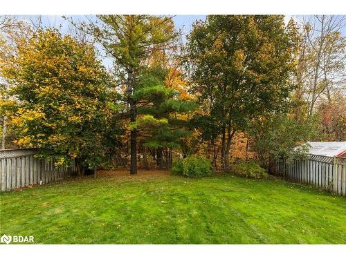 1001 Vance Crescent, Innisfil, ON - Outdoor With Backyard