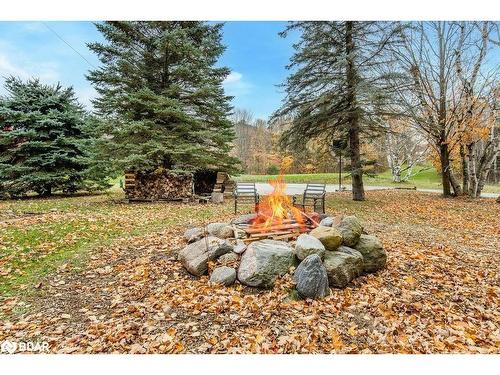 12 Birch Grove Drive, Horseshoe Valley, ON - Outdoor