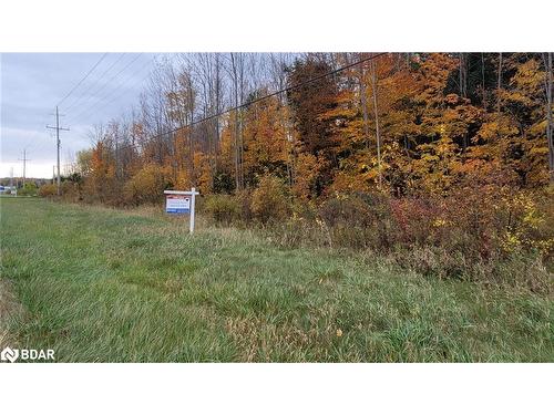 13790 County 27 Road, Springwater, ON - Outdoor With View