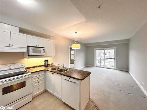 307-91 Raglan Street Street, Collingwood, ON - Indoor Photo Showing Kitchen With Double Sink