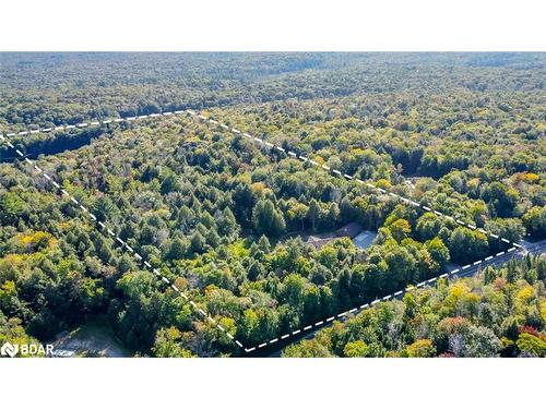 4571 Aspdin Road, Utterson, ON - Outdoor With View