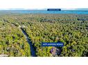 4571 Aspdin Road, Utterson, ON  - Outdoor With View 