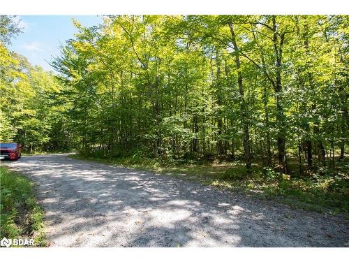 56 Dauncy Road, Magnetawan, ON 