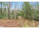 7950 Kings River Road, Ramara, ON 