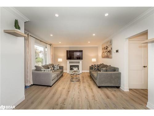 588300 County Road 17, Mulmur, ON - Indoor Photo Showing Living Room With Fireplace