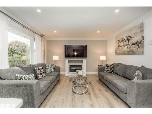 588300 County Road 17, Mulmur, ON - Indoor Photo Showing Living Room With Fireplace