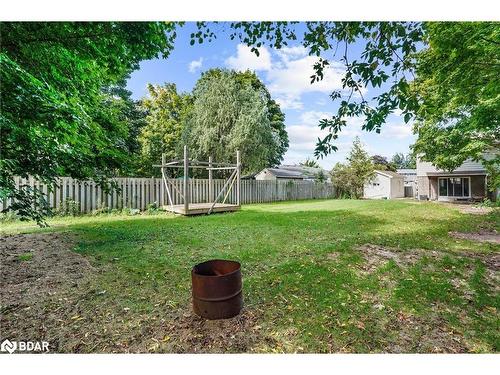 29 Roman Crescent, Brantford, ON - Outdoor With Backyard