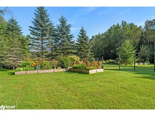 1705 Concession 8-9 Road E, Beaverton, ON - Outdoor