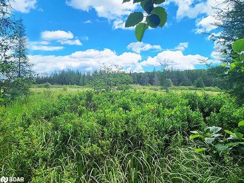 121 Proudfoot Road, Sundridge, ON - Outdoor With Body Of Water