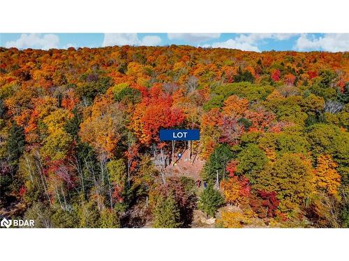 3978 South Portage Road, Lake Of Bays, ON - Outdoor With View