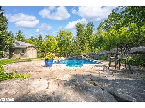 8071 4Th Line, Angus, ON - Outdoor With In Ground Pool With Backyard