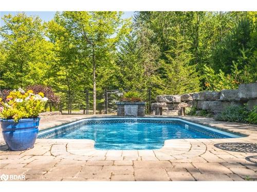 8071 4Th Line, Angus, ON - Outdoor With In Ground Pool With Backyard