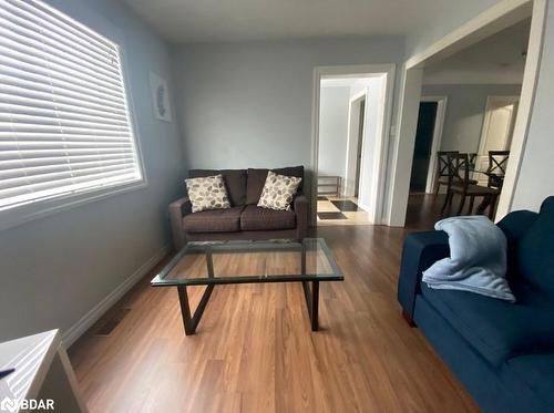 Main-557 Geneva Street, St. Catharines, ON - Indoor Photo Showing Living Room