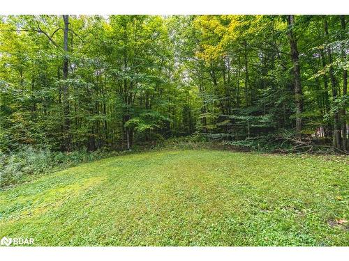 2994 Wasdell Falls Road, Washago, ON - Outdoor