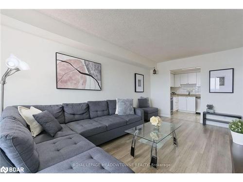 1013-135 Hillcrest Avenue, Mississauga, ON - Indoor Photo Showing Living Room