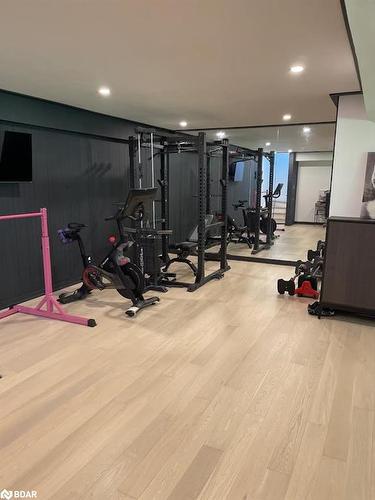 24 Oldenburg Court Court, Oro-Medonte, ON - Indoor Photo Showing Gym Room