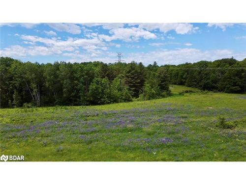 3146 Wasdell Falls Road, Washago, ON - Outdoor With View