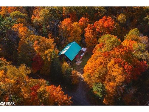 1046 Pine Springs Road, Algonquin Highlands, ON - Outdoor