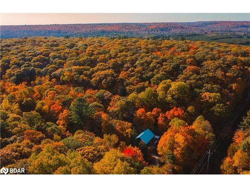 1046 Pine Springs Road, Algonquin Highlands, ON - Outdoor With View