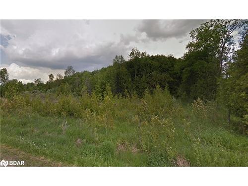 531 13Th Line N, Oro-Medonte, ON 