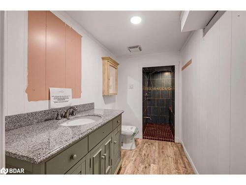 115 Duckworth Street, Barrie, ON - Indoor Photo Showing Bathroom