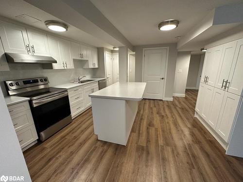 68 (Lower Level) Cook Street, Barrie, ON - Indoor Photo Showing Kitchen With Double Sink