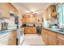 293 Duckworth Street, Barrie, ON  - Indoor Photo Showing Kitchen 