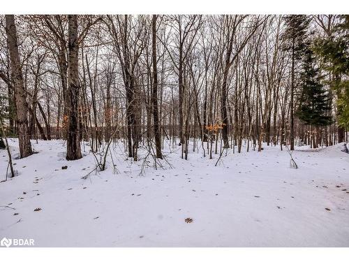 105 Pine Ridge Gt, Gravenhurst, ON - Outdoor With View