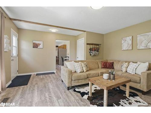 991 Douro Third Line, Douro-Dummer, ON - Indoor Photo Showing Living Room