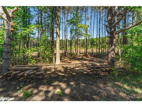 3891 9 Line N, Oro-Medonte, ON - Outdoor With View