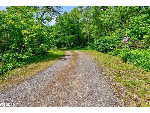 17377 Highway 35 Highway, Algonquin Highlands, ON - Outdoor