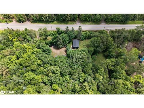 17377 Highway 35 Highway, Algonquin Highlands, ON - Outdoor