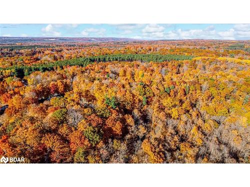 17 Maple Ridge Rd, Oro-Medonte, ON 