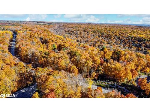 17 Maple Ridge Rd, Oro-Medonte, ON 