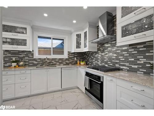 116 Boston Crescent, Hamilton, ON - Indoor Photo Showing Kitchen With Upgraded Kitchen