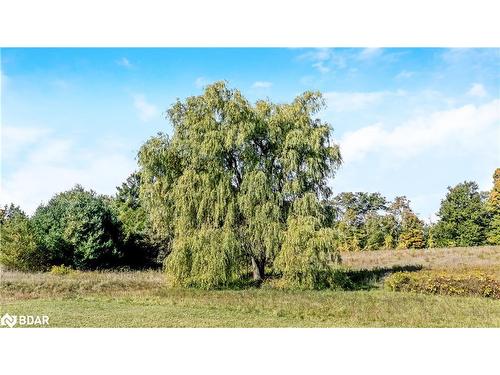 13968 9Th Line, Halton Hills, ON - Outdoor With View