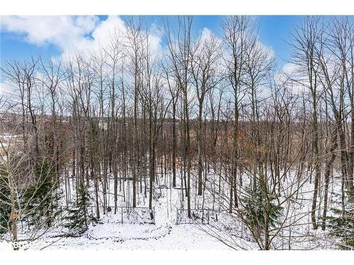 212-44 Ferndale Drive S, Barrie, ON - Outdoor With View