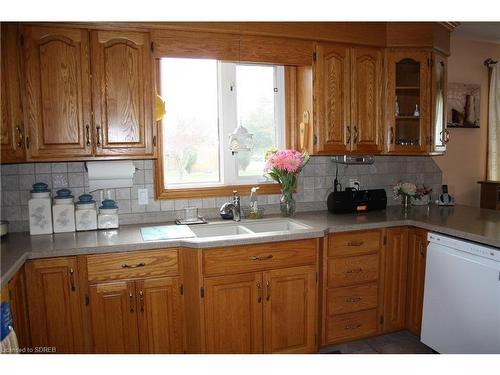 22 George Street, Langton, ON - Indoor Photo Showing Kitchen With Double Sink