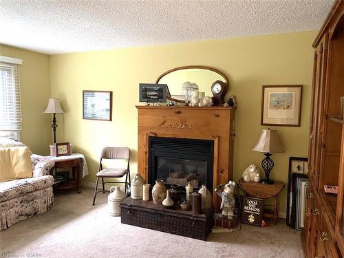 11-44 Richardson Drive, Port Dover, ON - Indoor Photo Showing Living Room With Fireplace