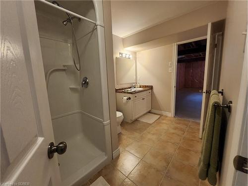 39 Driftwood Drive, Simcoe, ON - Indoor Photo Showing Bathroom