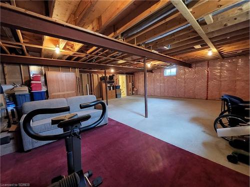 39 Driftwood Drive, Simcoe, ON - Indoor Photo Showing Basement