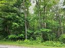 Pt Lot 20 7 Concession Road, Simcoe, ON 