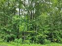 Pt Lot 20 7 Concession Road, Simcoe, ON 