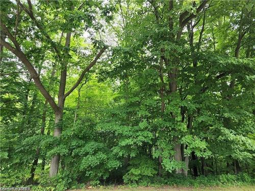 Pt Lot 20 7 Concession Road, Simcoe, ON 